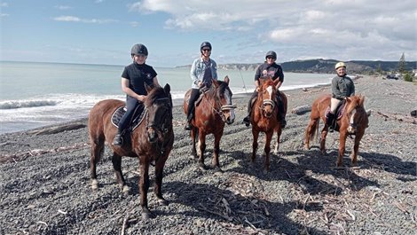 Horse Treks with Cape Coast Equestrian
