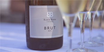 NV Brut