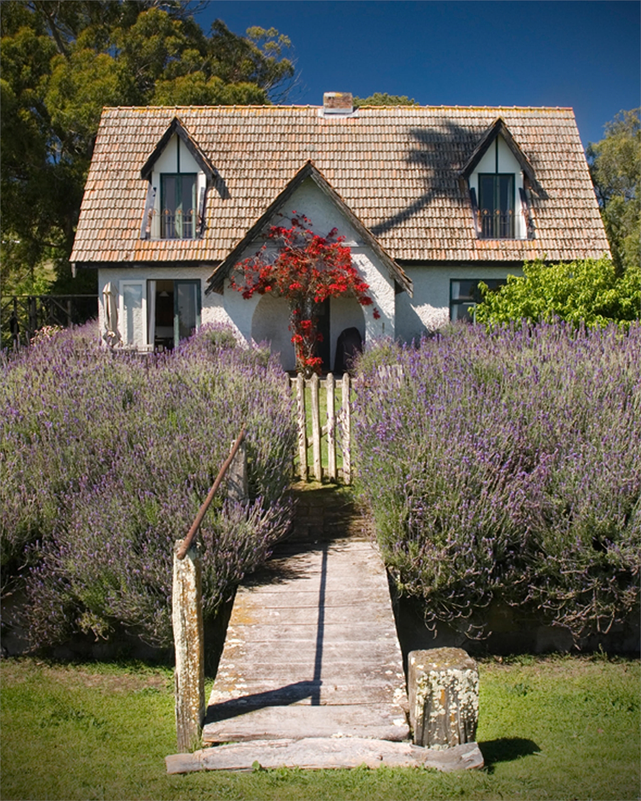 Black Barn Weddings - Wedding up to 30 people