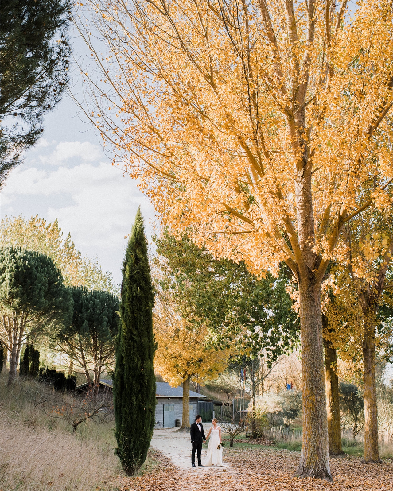 Black Barn Weddings - The Elopement