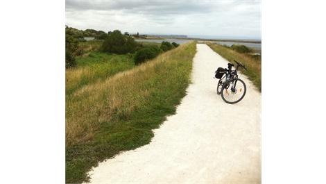 Takaro Trails Self-Guided Tour