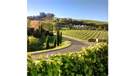 Luxury Airport & Winery Transfers