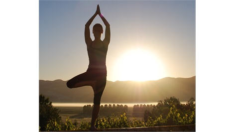 Retreat Yoga Lessons