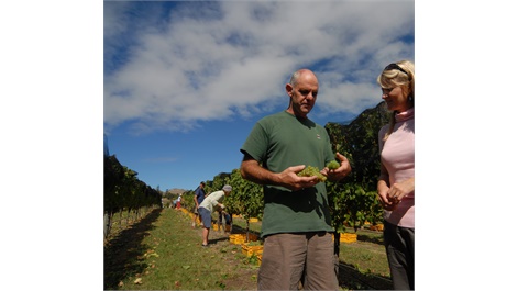 Private Retreat Wine Experience